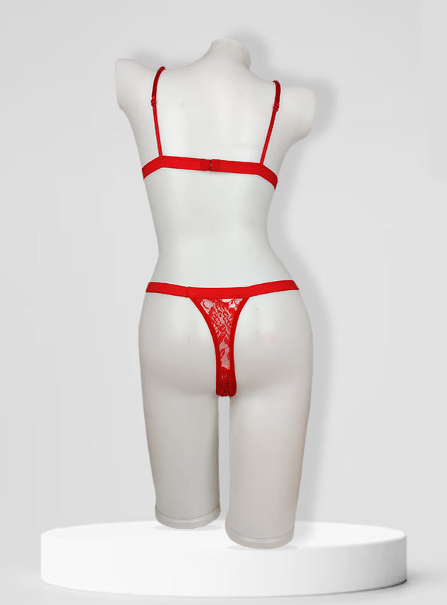 Full Net Non padded Sexy Lingerie Set