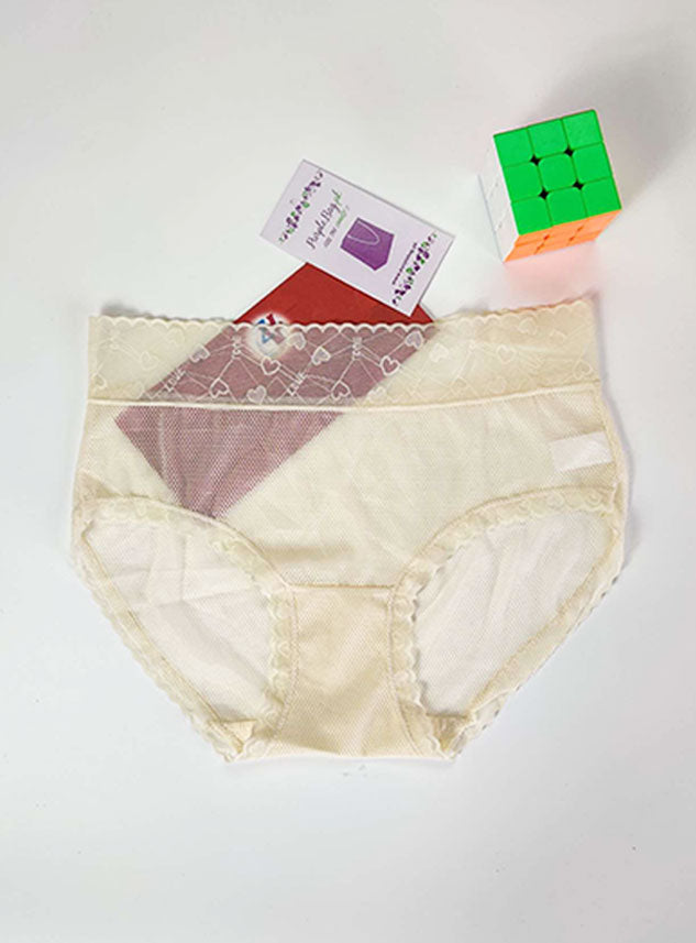 Transparent Soft Net Panty