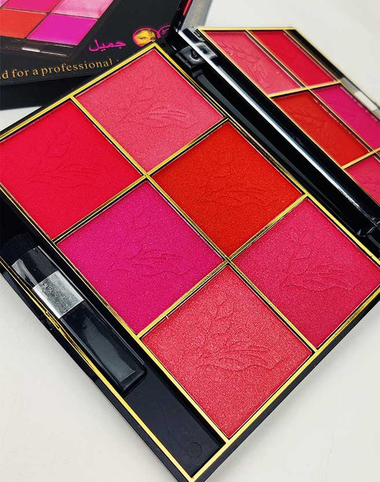 Kiss Touch 6 Color Makeup Blush On