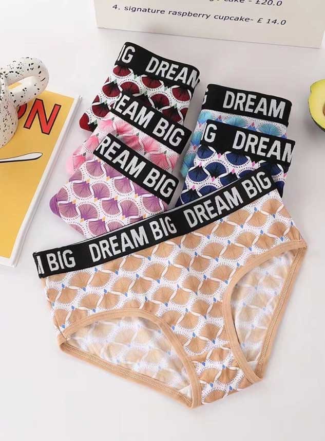 Big Dream Fancy Multi Color Pushup Bra Set