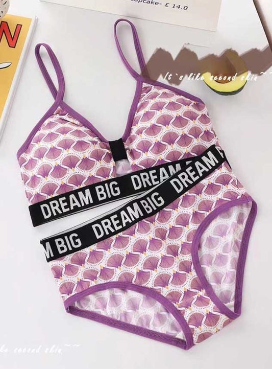 Big Dream Fancy Multi Color Pushup Bra Set