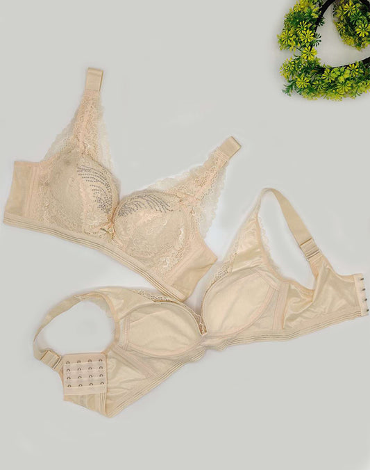 Fancy Net padded Bra