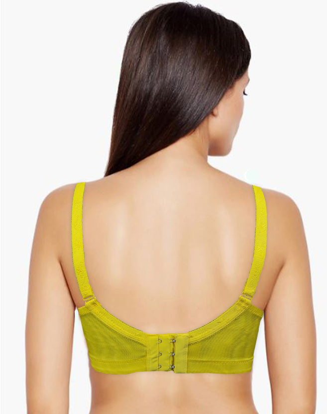 Fancy Net Super Soft Padded Bra