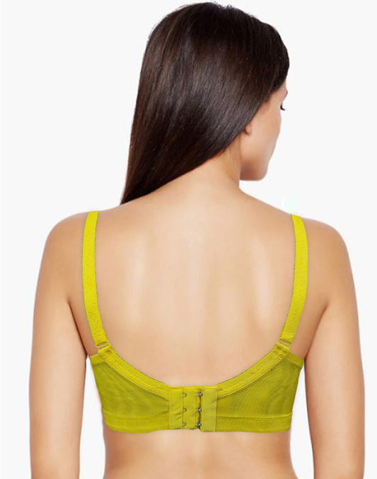 Fancy Net Super Soft Padded Bra