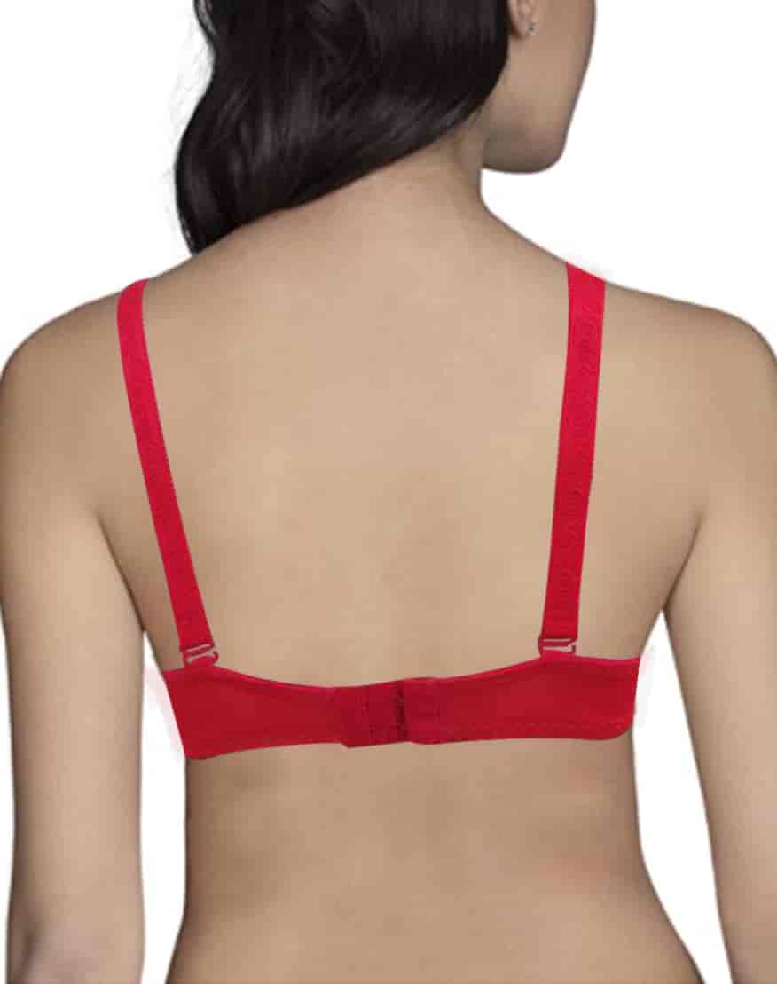 Full Coverage embroidery Light Padded Fancy Bra